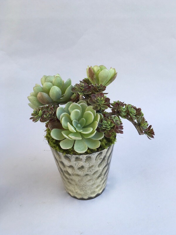 Dusty agave and mini sedum succulents in a silver mercury vase