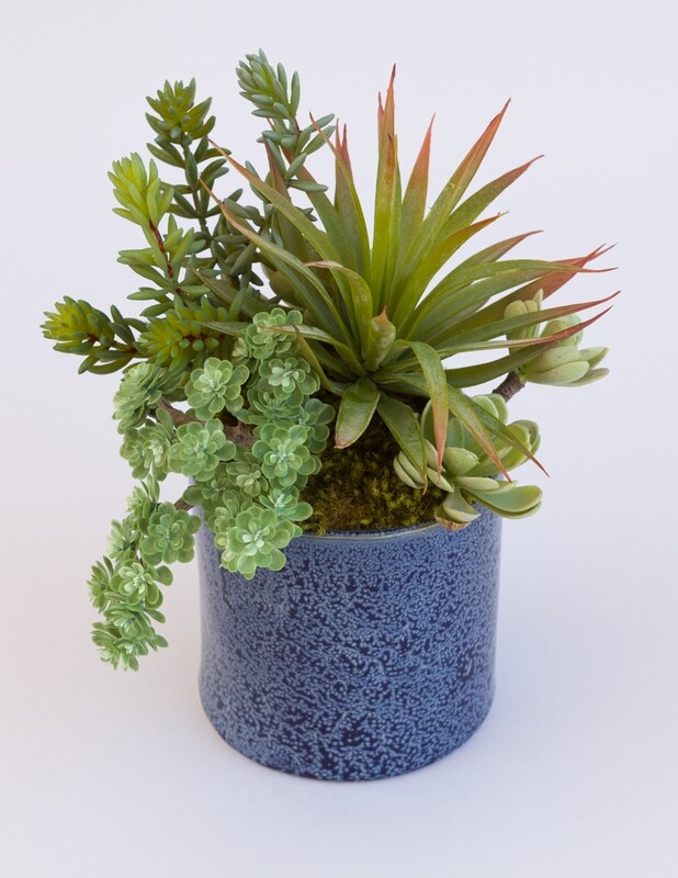Tillandsia, sedum and agave in a blue denim ceramic