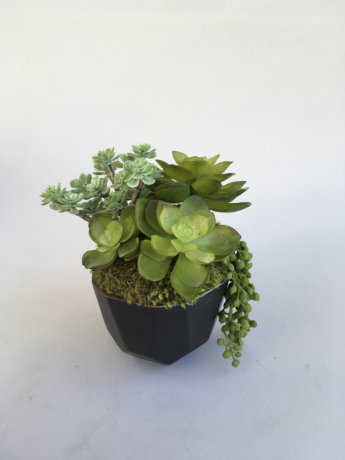 Echeverias, sedum and string of pearls in a black matte flat edge ceramic