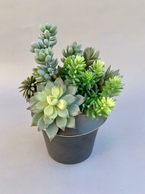 Mixed sedum, flock agave and jelly bean succulents in a matte black ceramic