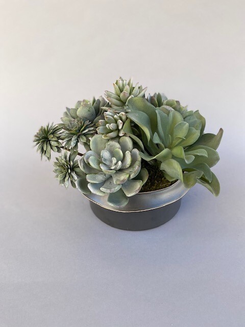 Kalenchoe, dusty cabbage echeveria,and sedum in a matte black low rimmed ceramic.