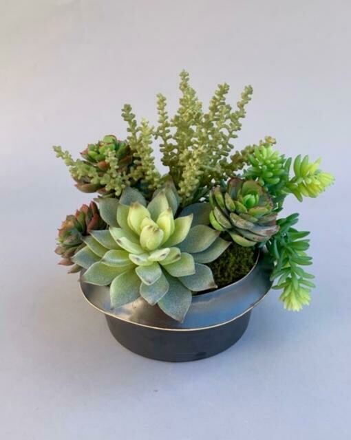 Mini sedum, flocked agave, and cabbage echeveria succulents in a low black matte rimmed ceramic