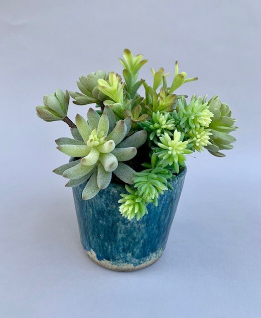 Donkey tail agave and sedum succulents in a medium blue ceramic pot