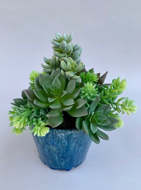 Agave, sedum and ice plant succulents in a medium blue ceramic pottery
