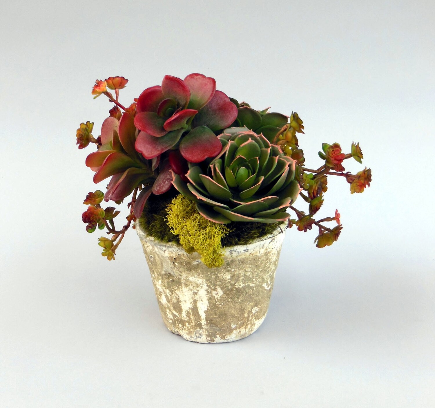 Kalanchoe, sedum and echeveria succulents in a stone pot
