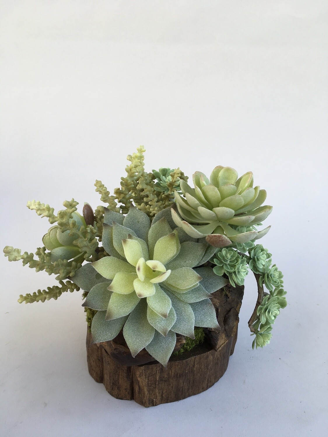 Mini popcorn, agave, flocked agave and multirose sedum succulents in small wood drifter cup