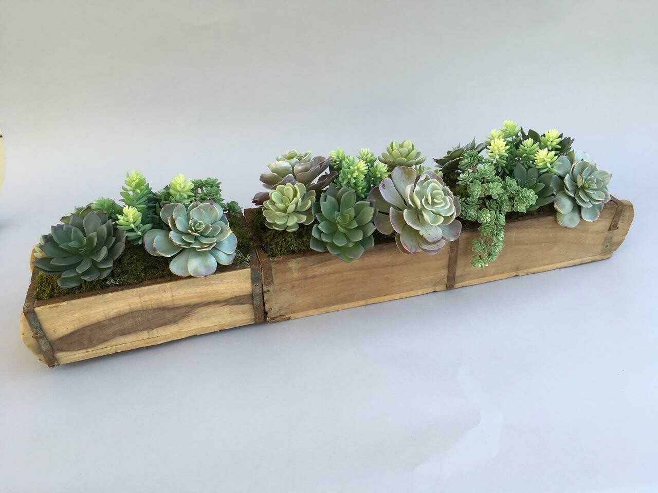 Wood brick mold with mixed sedum, echeverias and agaves succulents