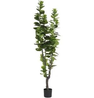 7' Stella Tree