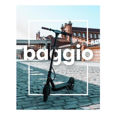 Patinete eléctrico smartGyro Baggio 8 Black