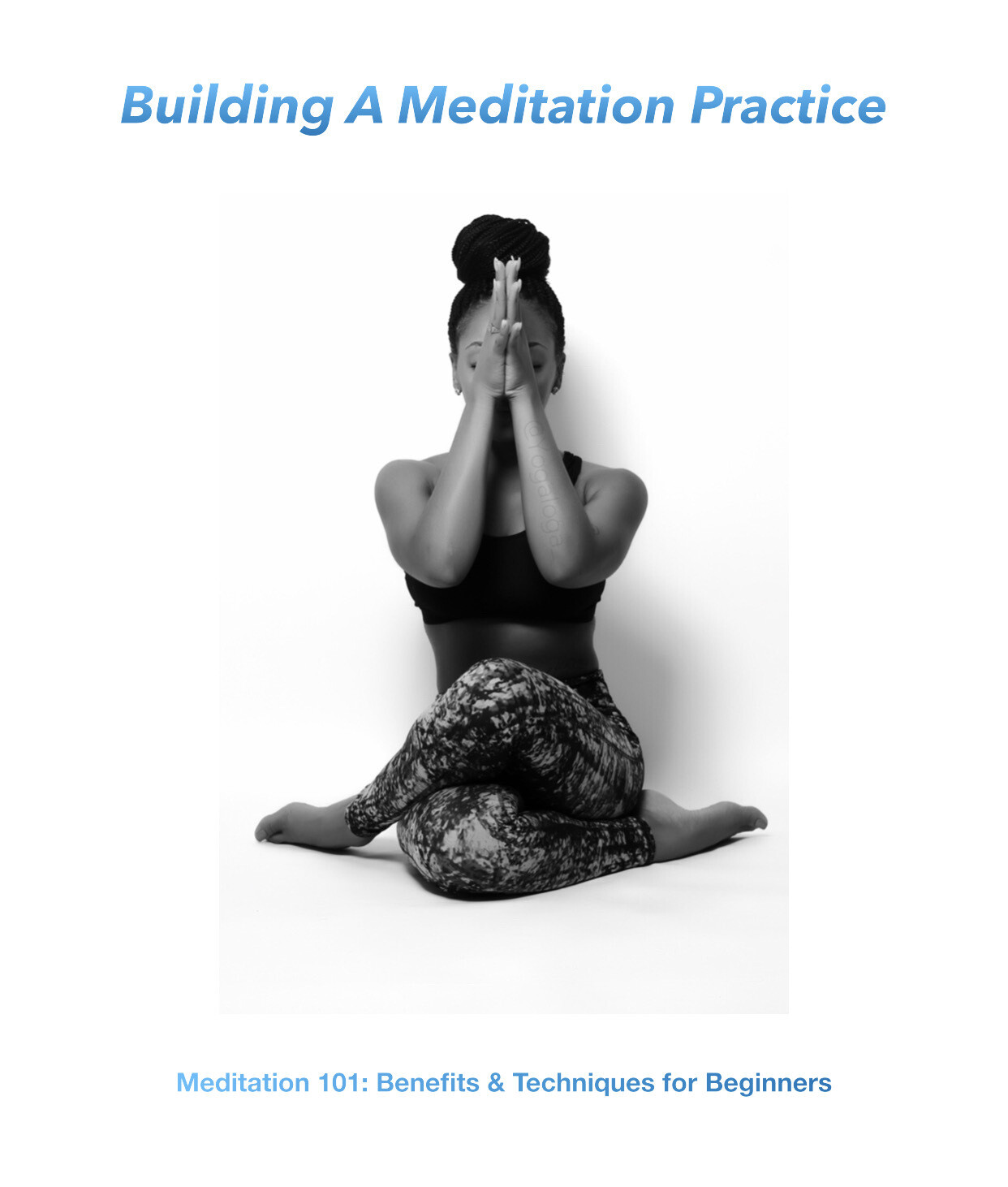 Building A Mediation Practice