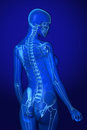 Optional Extra-(If you buy online training) one off 1-2-1 PT Session & Body Assesment