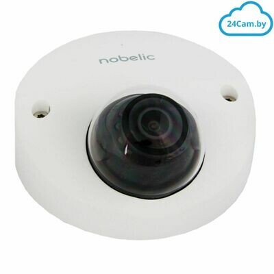 Nobelic NBLC-2420F-MSD 4,0 Мп облачная миникупольная камера видеонаблюдения