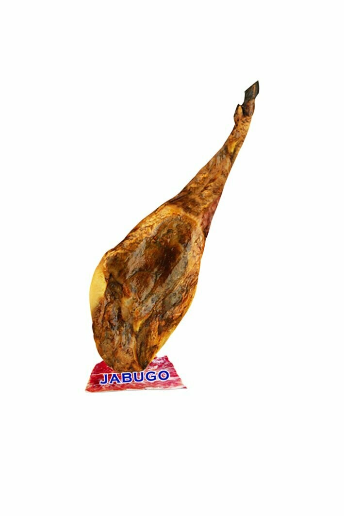 Imán