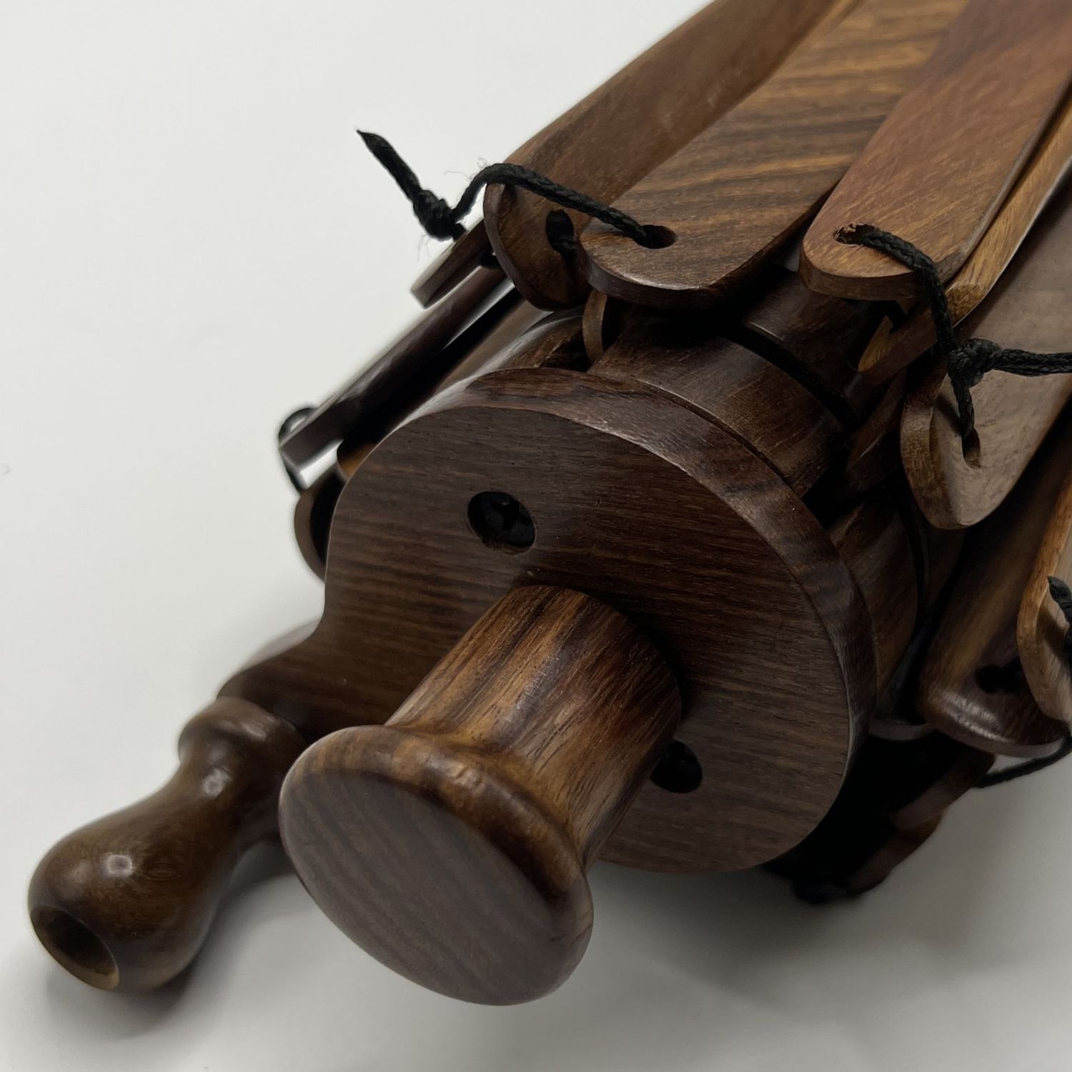Indian Rosewood Umbrella Swift