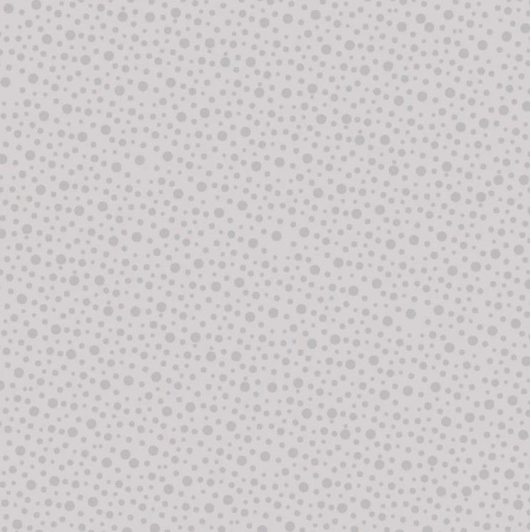 Bedrock Basics 80430-8