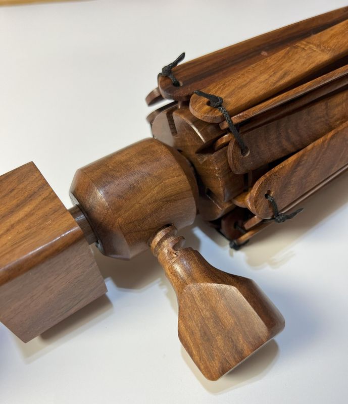 Indian Rosewood Umbrella Swift