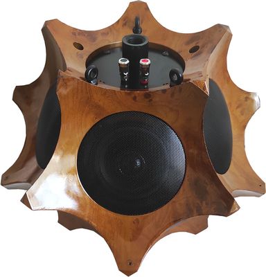 160W, omnidirectional speaker, wooden, Technysound