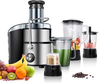1000W, 4 in 1, juice extractor, blender, coffee grinder, chopper,  RoyaltyLine PJ19003, 3 years warranty