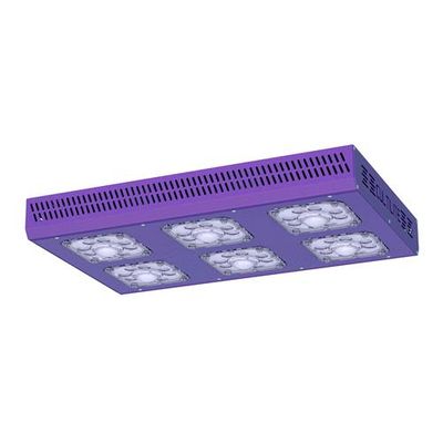 540W, grow light, cob line, Led Antares Cultilite