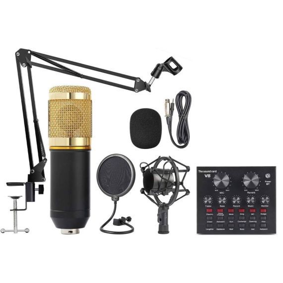 V8 professional sound card, condenser microphone, table stand  BM 800