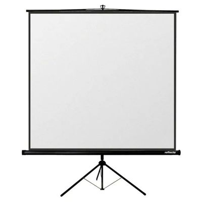 Projector Screen