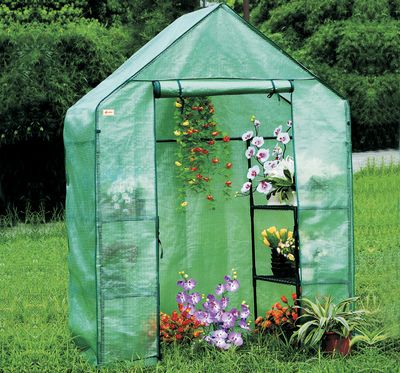 Walk-In, greenhouse, Herzberg HG-8002