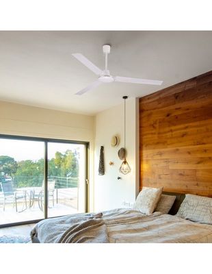 Ceiling fan