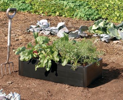 Mini Grow Bed 115L – Compact Raised Planter for Urban Gardening Malta