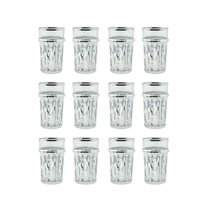 Eisenbach EB-GLS12S: 12-Pieces Tea Glasses with Silver Accent