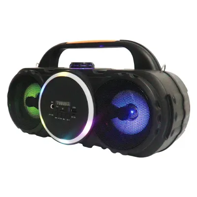 CROWN PAS-2410MBF 10W Portable Bluetooth Speaker – Black, Dual Channel, LED Lights