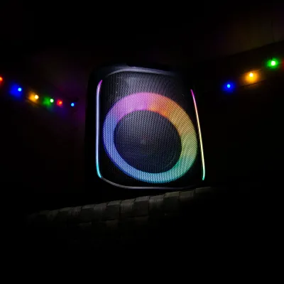 100W, portable speaker, microphone, Lenco PA-101BK