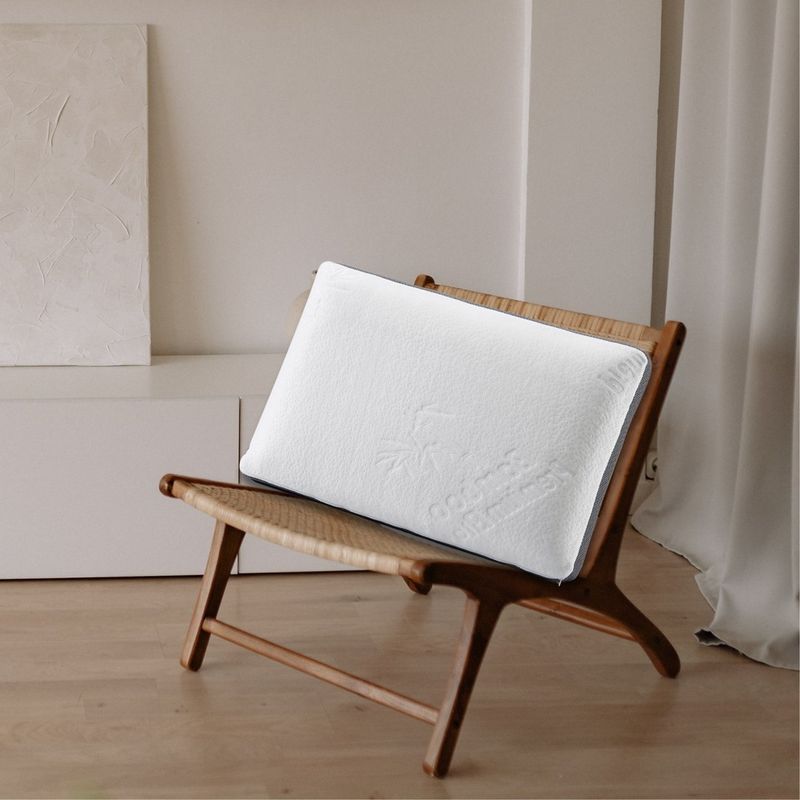 Herzberg HG-3D6040: Bamboo Memory Foam Pillow