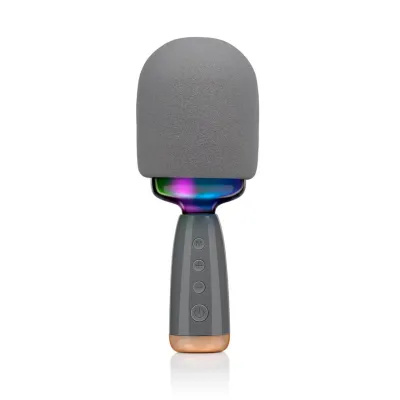 Karaoke Microphone