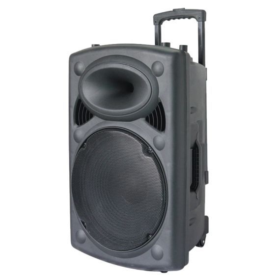12″ Amplified Bluetooth PA Speaker with Wireless Microphone &amp; Remote