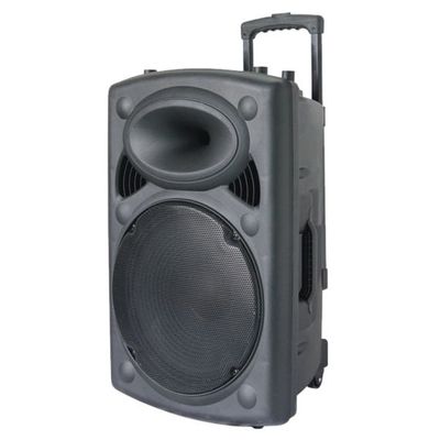 12″ Amplified Bluetooth PA Speaker with Wireless Microphone &amp; Remote