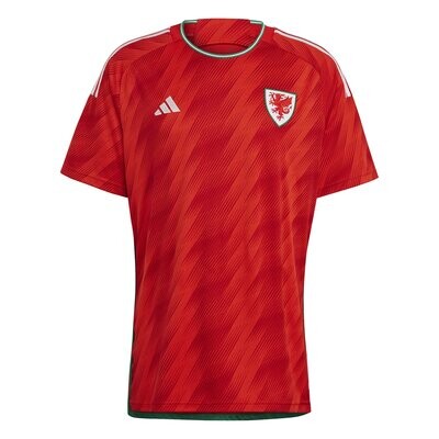 Wales 2022 World Cup Home Soccer Jersey
