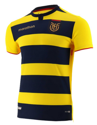Ecuador Home Jersey Shirt 2021