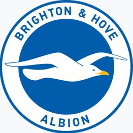 Brighton & Hove Albion F.C.