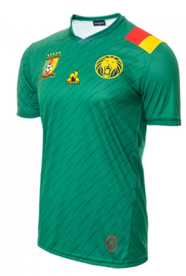 Cameroon Home Soccer Jersey 2022