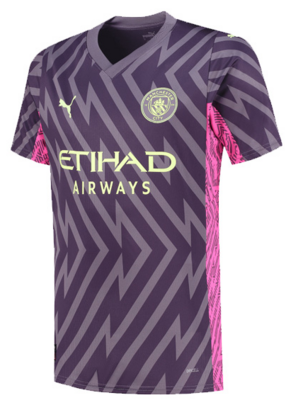 Manchester City Purple Goalkeeper Jersey 23-24