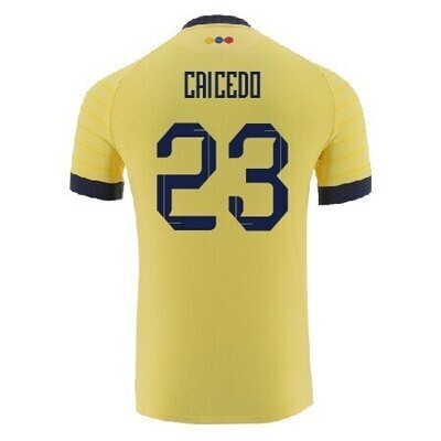 Ecuador National Home Yellow Soccer Jersey 23-24 Caicedo #23