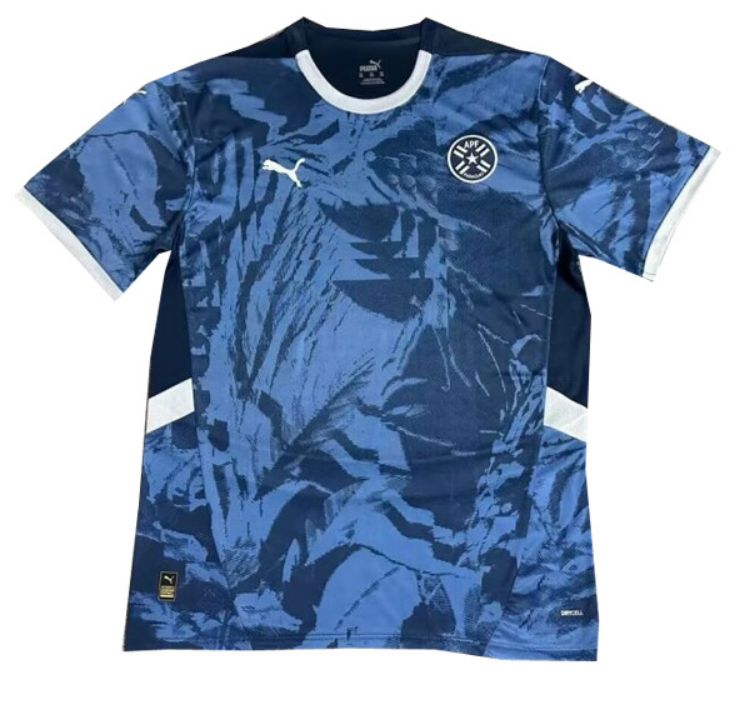 Paraguay Copa America Away Jersey 2024