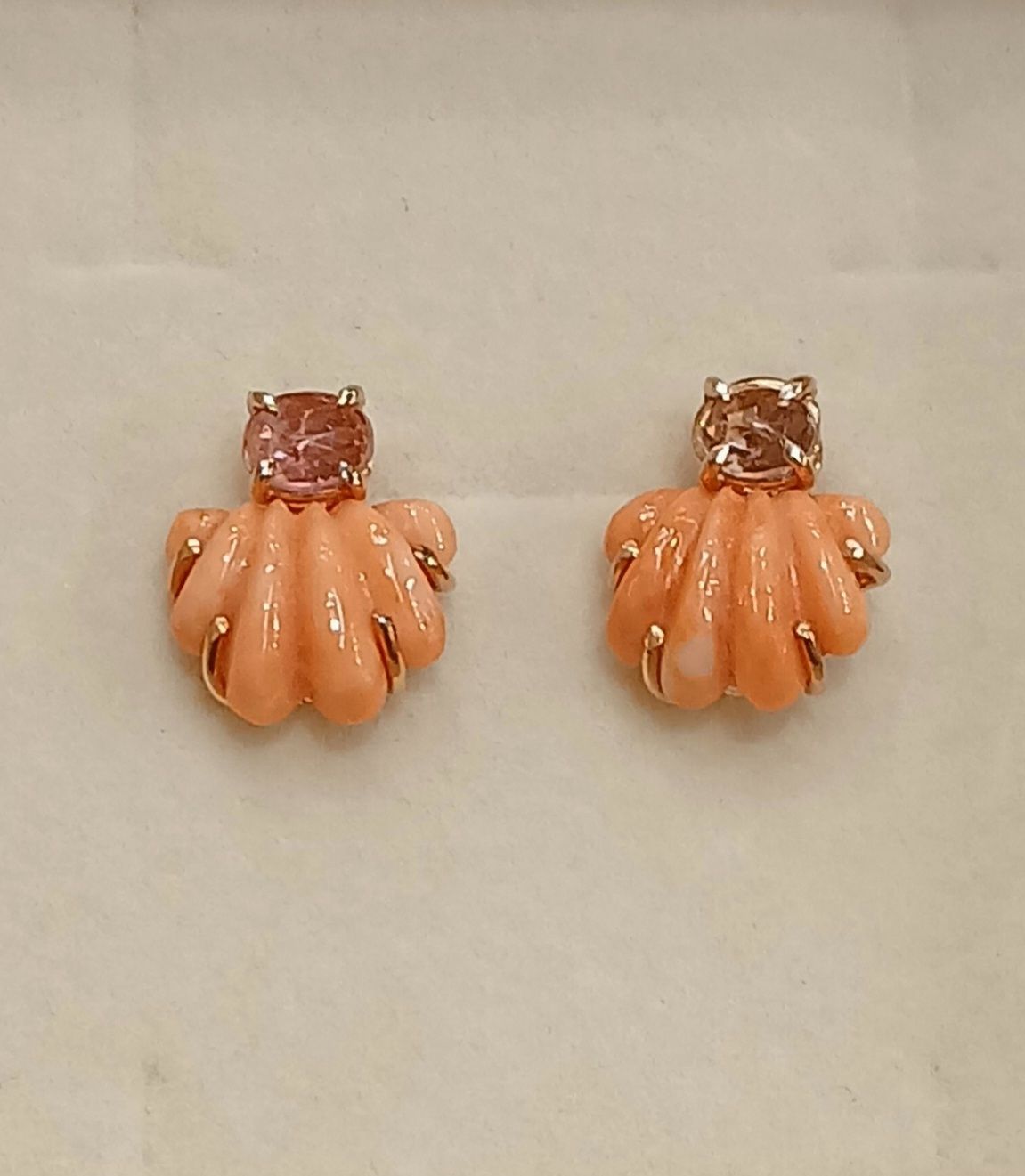 Conchigliette di corallo