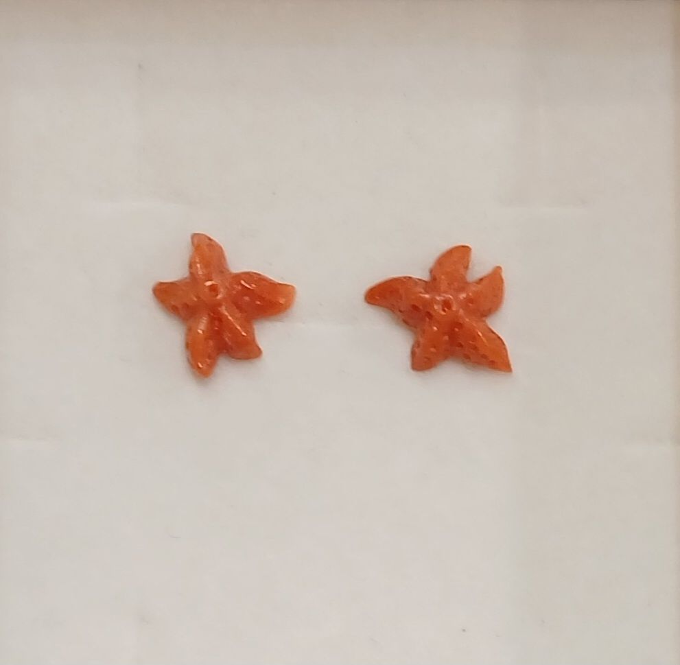 Stelline marine di corallo