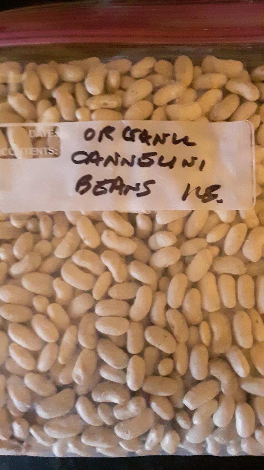 Genesee Valley Bean organic cannellini beans, 1 lb