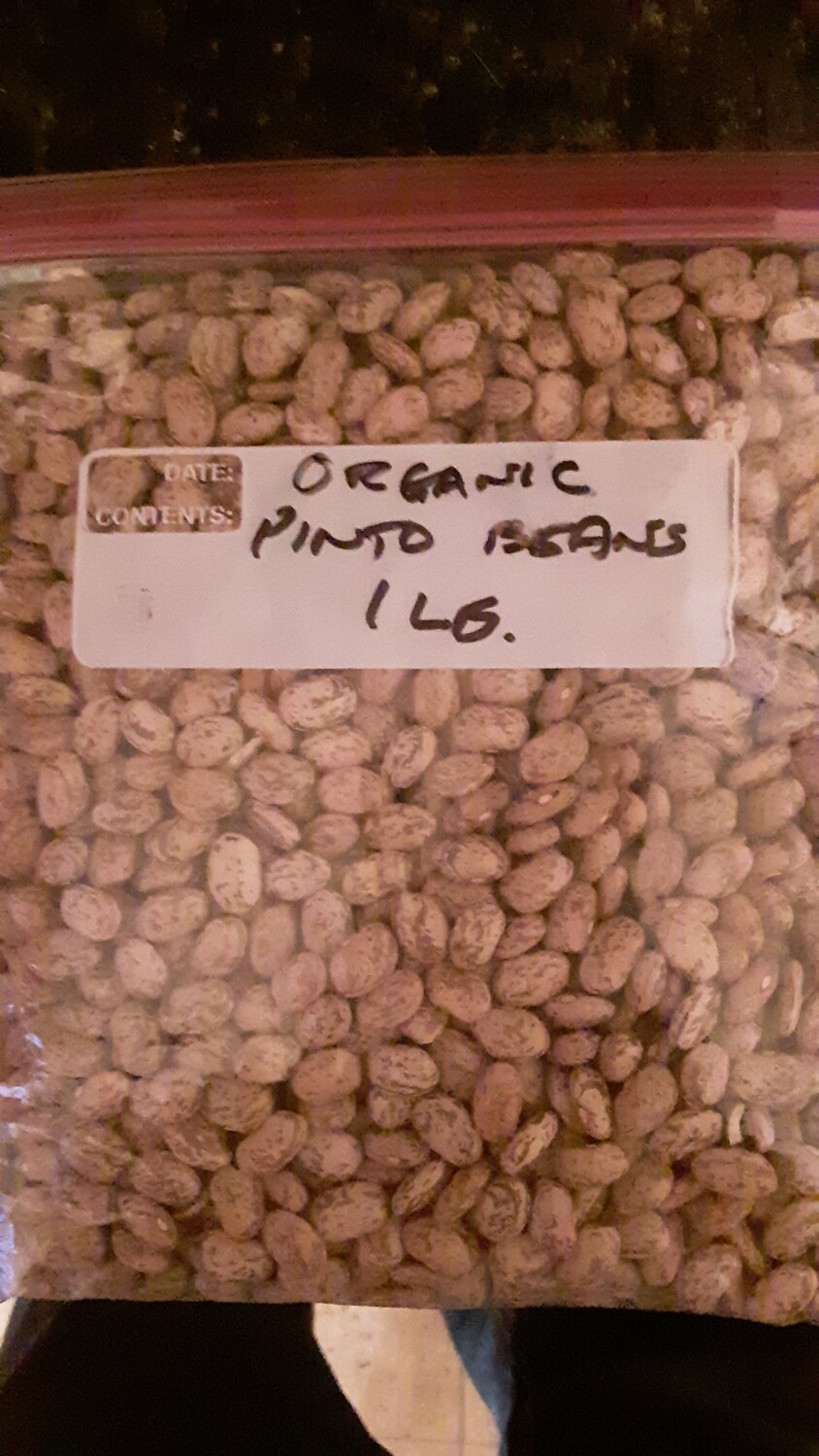 Genesee Valley Bean organic pinto beans, 1 lb