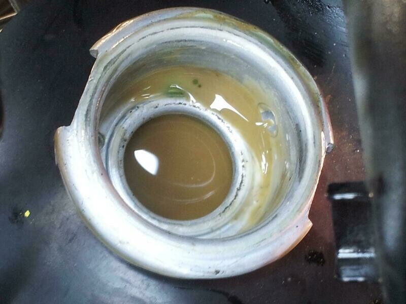 oil in coolant