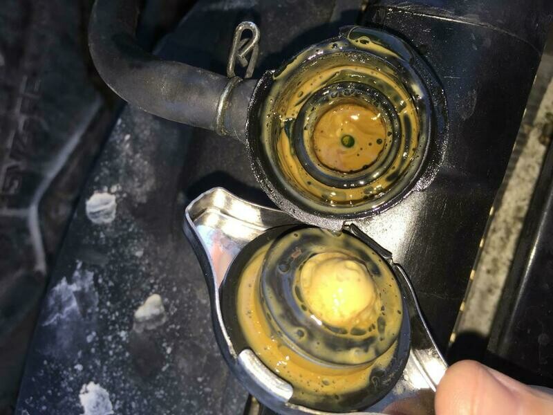 oil in coolant