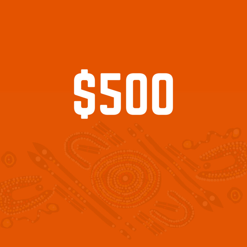 $500 donations