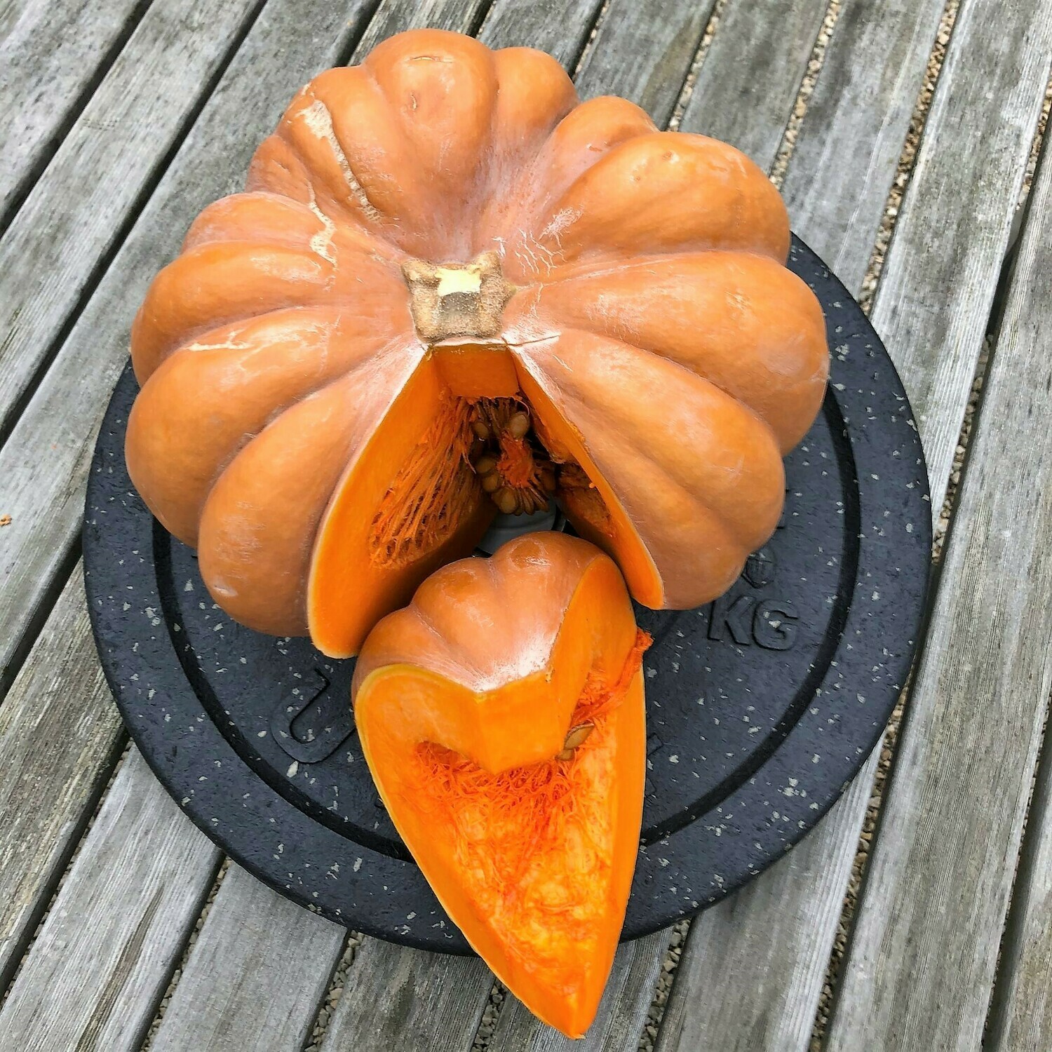 Kürbissuppe Kürbissuppe